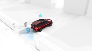 Expedition Reverse Brake Assist